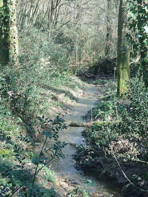 Location meublée au milieu d'un écrin de verdure Aux vieux fours Noaillac Esterno foto