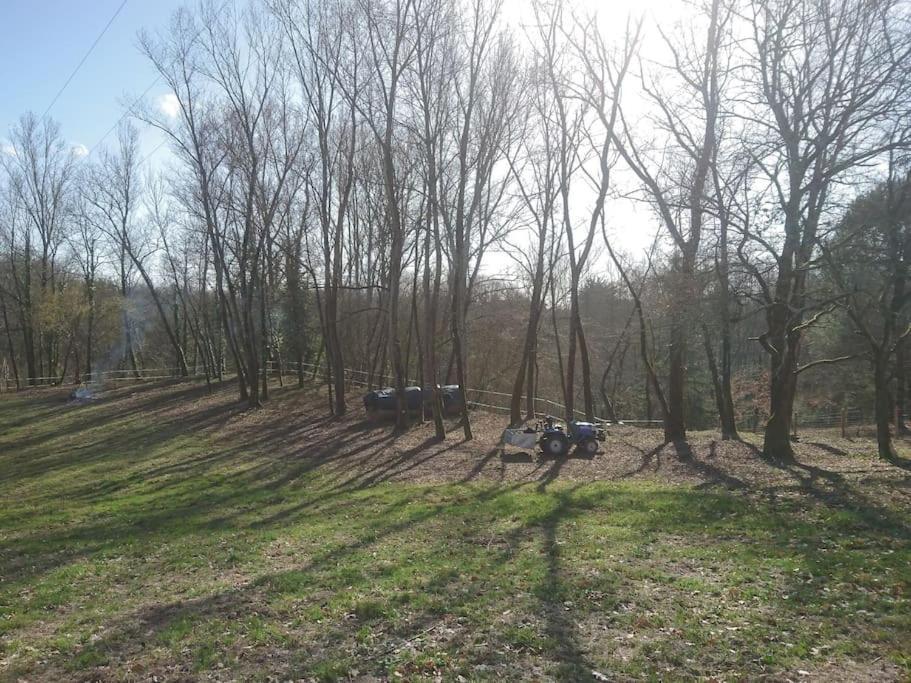 Location meublée au milieu d'un écrin de verdure Aux vieux fours Noaillac Esterno foto