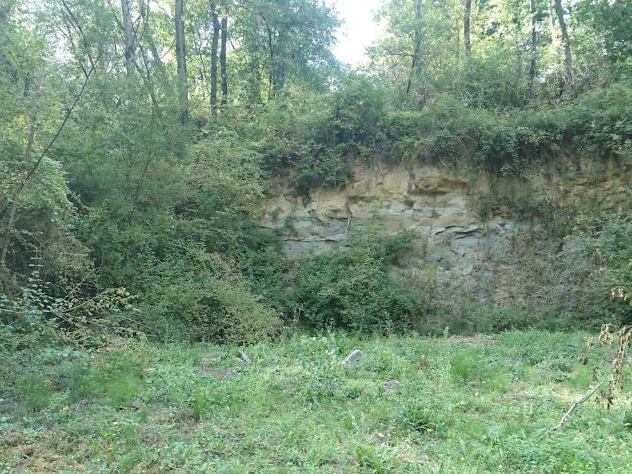 Location meublée au milieu d'un écrin de verdure Aux vieux fours Noaillac Esterno foto