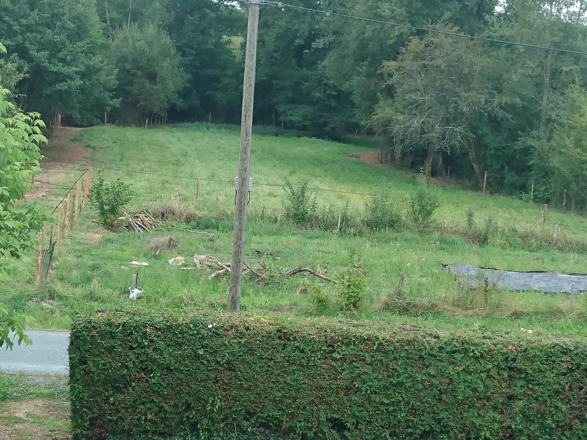 Location meublée au milieu d'un écrin de verdure Aux vieux fours Noaillac Esterno foto