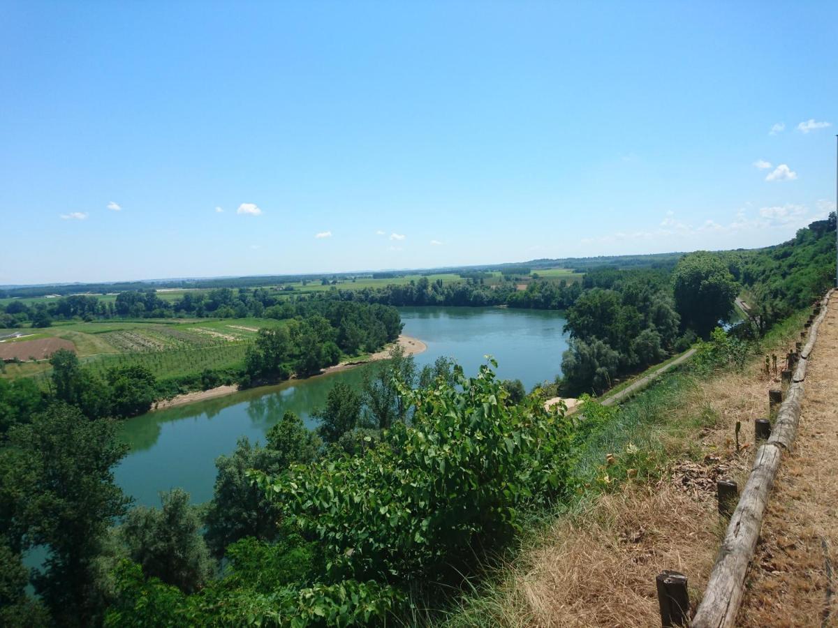 Location meublée au milieu d'un écrin de verdure Aux vieux fours Noaillac Esterno foto